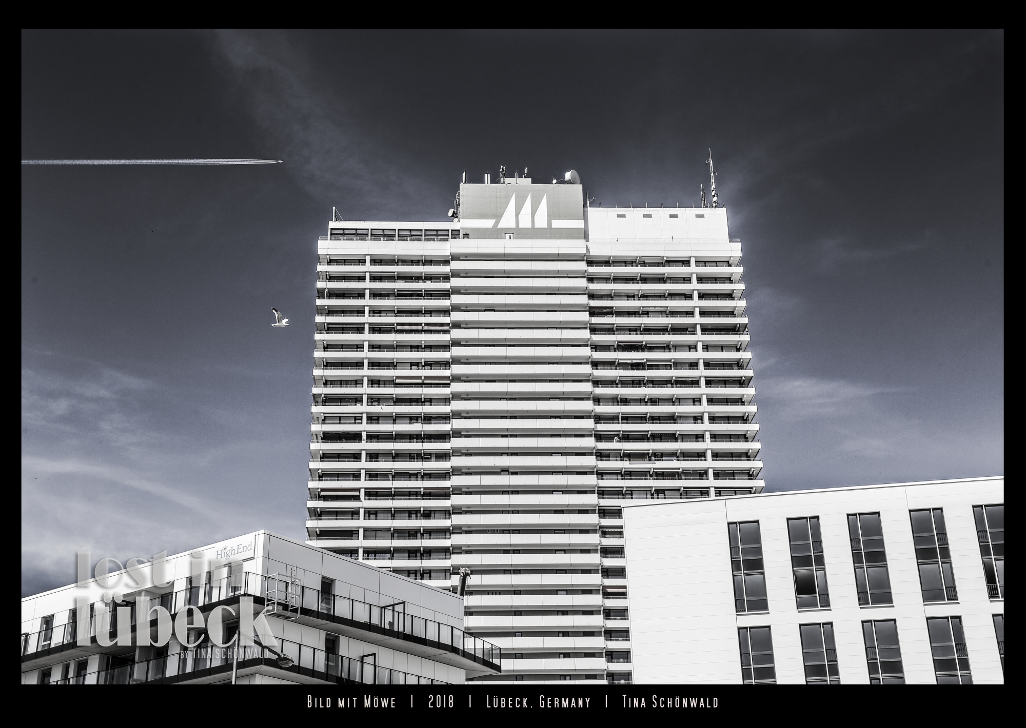 bild mit möwe 2018 poster tina schönwald lost in lübeck