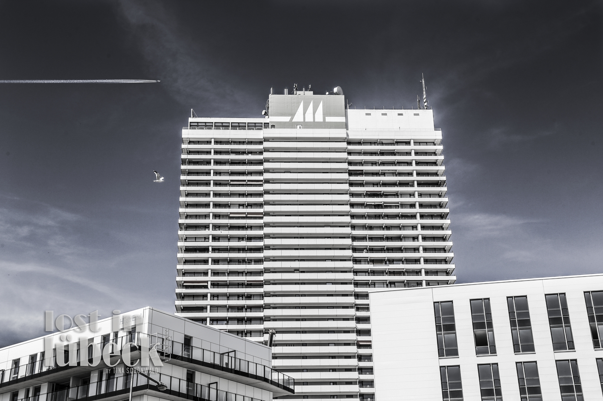 bild mit möwe 2018 tina schönwald lost in lübeck Am Leuchtfeld Lübeck Travemünde Maritim